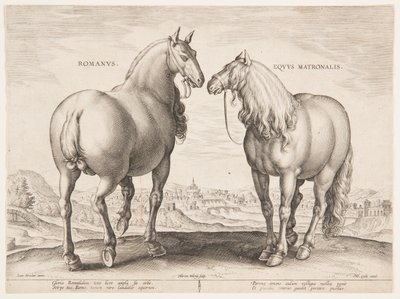 Un caballo romano, del primer conjunto de "Equile Joannis Austriaci" de Jan van der Straet, called Stradanus