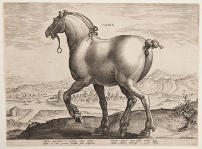 Un caballo sajón, del primer conjunto de "Equile Joannis Austriaci" de Jan van der Straet, called Stradanus