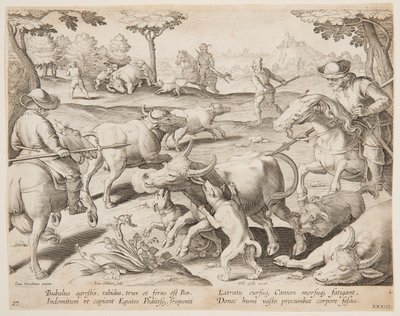 Caza de Búfalos, lámina 27 en la serie Venationes Ferarum, Avium, Piscium de Jan van der Straet, called Stradanus