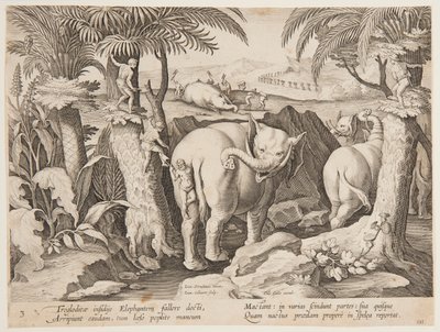 Hombres de las cavernas persiguiendo elefantes, placa 3 de la serie Venationes Ferarum, Avium, Piscium de Jan van der Straet, called Stradanus