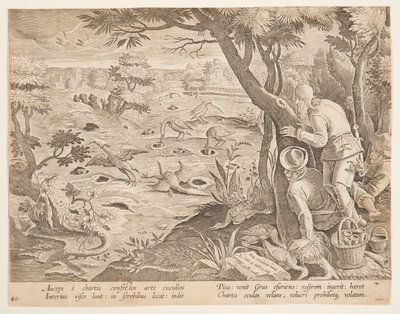 Caza de grullas usando conos, lámina 28 en la serie Venationes Ferarum, Avium, Piscium de Jan van der Straet, called Stradanus