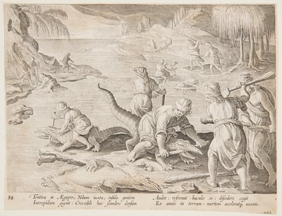 Caza de cocodrilos en Tentyra, en Egipto, lámina 30 de la serie Venationes Ferarum, Avium, Piscium de Jan van der Straet, called Stradanus