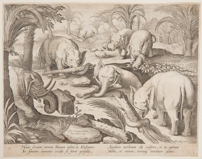 Elefantes ayudándose a salir de una trampa, lámina 1 de la serie Venationes Ferarum, Avium, Piscium de Jan van der Straet, called Stradanus