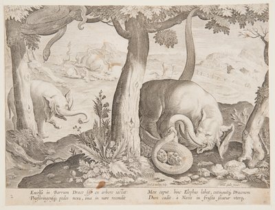 Lucha entre Elefantes y Serpientes, lámina 2 de la serie Venationes Ferarum, Avium, Piscium de Jan van der Straet, called Stradanus