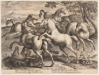 Caballos luchando, del cuarto conjunto de "Equile Joannis Austriaci" de Jan van der Straet, called Stradanus