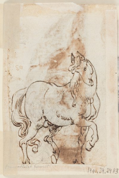 Página de un libro de dibujos; Estudio para pintura de Santa Magdalena; Un semental de Jan van der Straet, called Stradanus