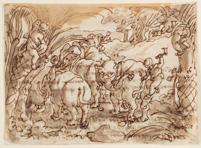 Recto: Elefantes cazados por trogloditas [Cavernícolas]; Verso: inscripción relacionada con la Historia Natural de Plinio el Viejo, Libro 8, cap.8 de Jan van der Straet, called Stradanus