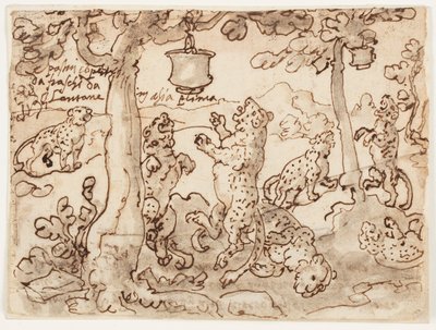 La trampa del pantera de Jan van der Straet, called Stradanus