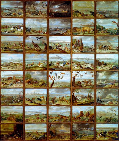 Animales. Tabla que muestra compartimentos correspondientes a diferentes especies animales. Pintura de Jan Van Kessel (1626-1679) siglo XVII Madrid, Museo del Prado de Jan van the Elder Kessel
