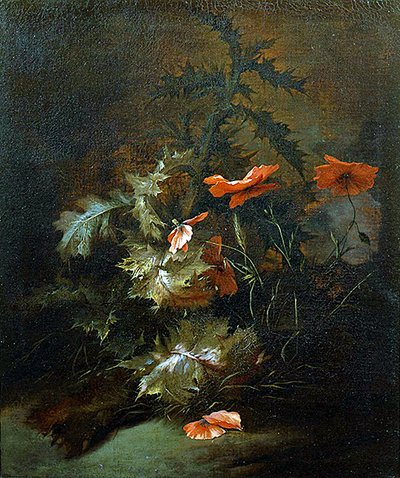 Cardos y amapolas de Jan van the Elder Kessel