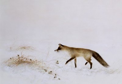 Zorro en la nieve de Jane Neville