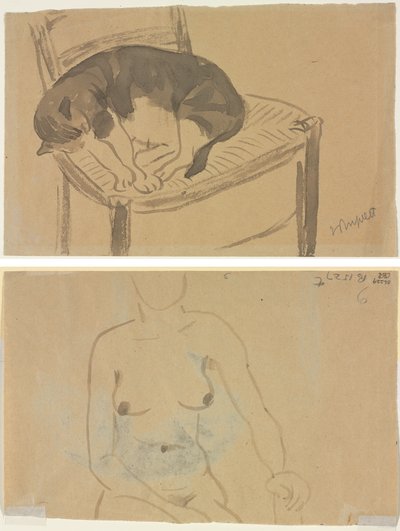 Gato Durmiendo (recto) Torso de una Mujer Desnuda (verso) de Jane Poupelet