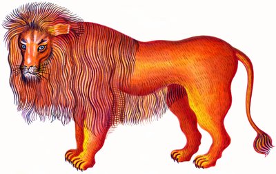 Leo el León de Jane Tattersfield