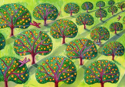 Huerto de Jane Tattersfield