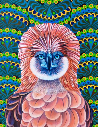 Águila Filipina, 2020 de Jane Tattersfield