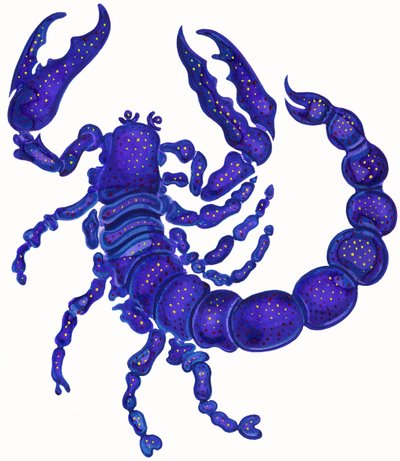 Escorpio de Jane Tattersfield