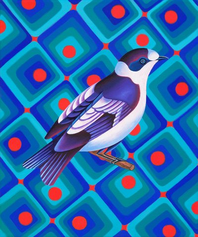 Mosquero semicollared, 2023 (óleo sobre lienzo) de Jane Tattersfield