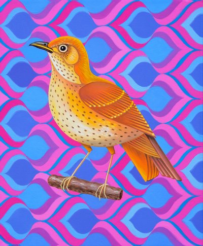 Zorzal común, 2023 (óleo sobre lienzo) de Jane Tattersfield