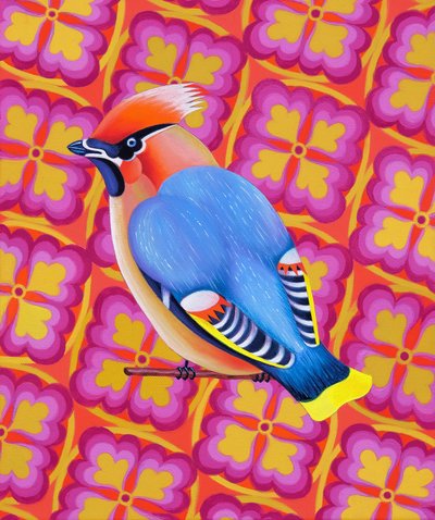 Waxwing, 2023 (óleo sobre lienzo) de Jane Tattersfield