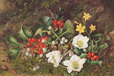 Acebo y Rosas de Navidad de Jane Taylor