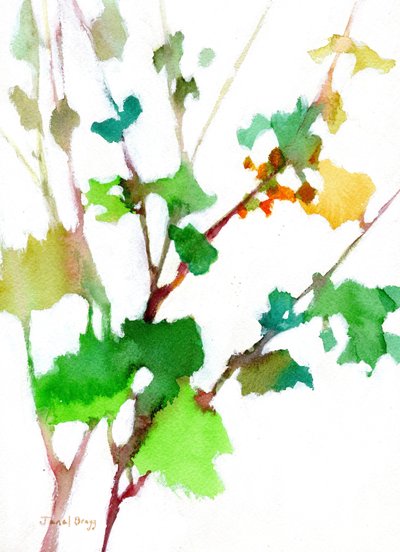  de Janel Bragg