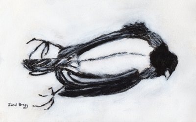 Pájaro muerto junto a mi escalera, c.2018 (carboncillo y gesso sobre papel) de Janel Bragg