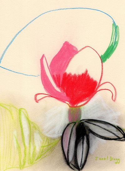 Magnolia en color, c.2021 (pastel sobre papel) de Janel Bragg