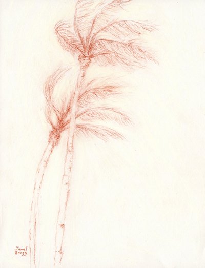 Once Upon a Tropical Vacation Palm Trees, c.2019 (lápiz sobre papel) de Janel Bragg