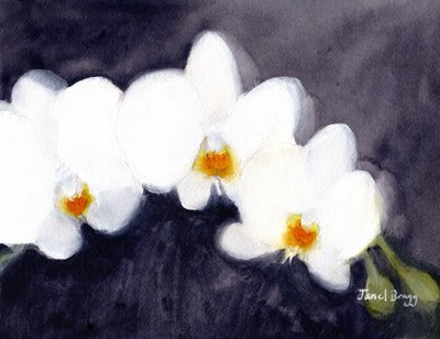 Orquídea Phalaenopsis blanca, c.2021 (acuarela y caseína sobre papel) de Janel Bragg