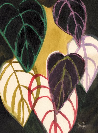  de Janel Bragg