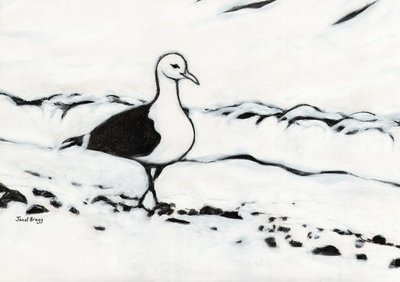 Gaviota de Washington Park, c.2017 (carboncillo y gesso sobre papel) de Janel Bragg