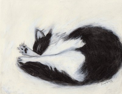 Thomas Taking a Nap, c.2018 (carboncillo y pastel sobre papel) de Janel Bragg