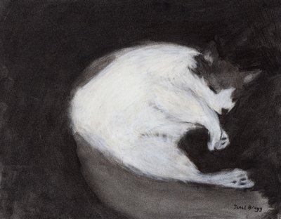 Thomas Taking a Nap, c. 2018 (carboncillo y pastel sobre papel) de Janel Bragg