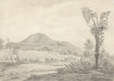 Paisaje javanés con montaña y palmeras de Jannes Theodorus Bik