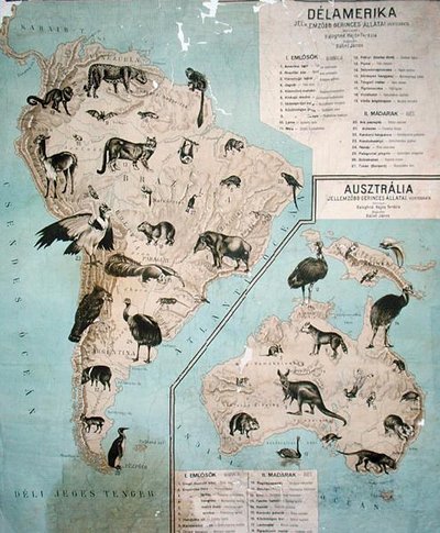 Mapa de animales en Sudamérica y Australia de Janos Balint