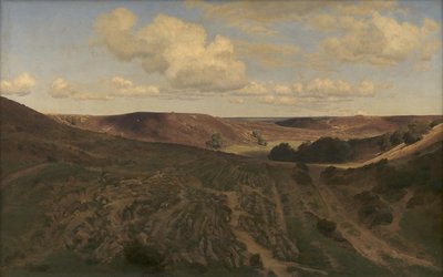 Paisaje en Nejsum en Vendsyssel de Janus La Cour