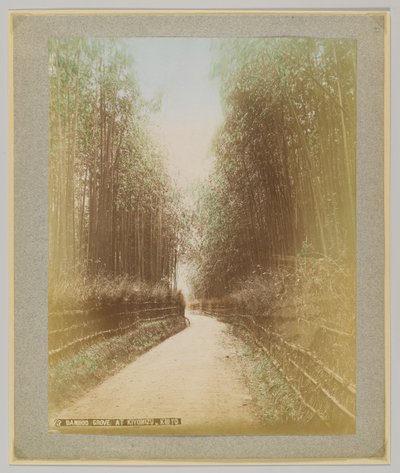 Bosque de bambú en Kiyomizu, Kioto, Japón de Japanese Photographer