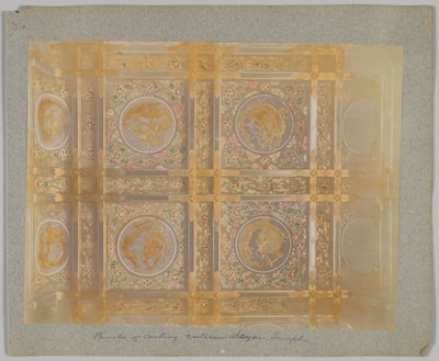 Paneles del techo de Tōshō-gū, Nikko, Japón de Japanese Photographer