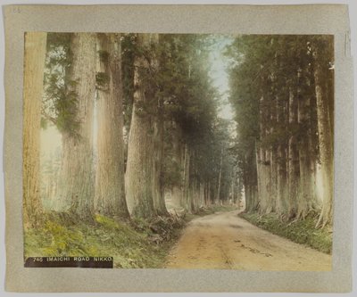 Camino Imaichi, Nikko, Japón de Japanese Photographer