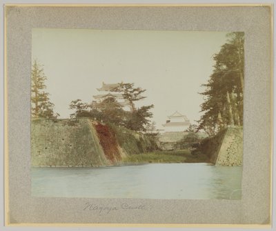 Castillo de Nagoya, Japón de Japanese Photographer