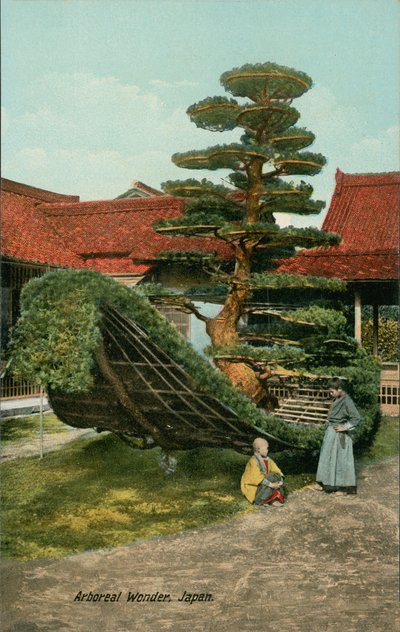  de Japanese Photographer