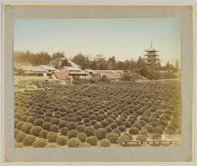 Pagoda de Toji y jardín de té, Kioto, Japón de Japanese Photographer
