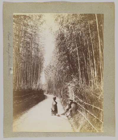 Camino a través de un bosque de bambú, Japón (foto en blanco y negro) de Japanese Photographer