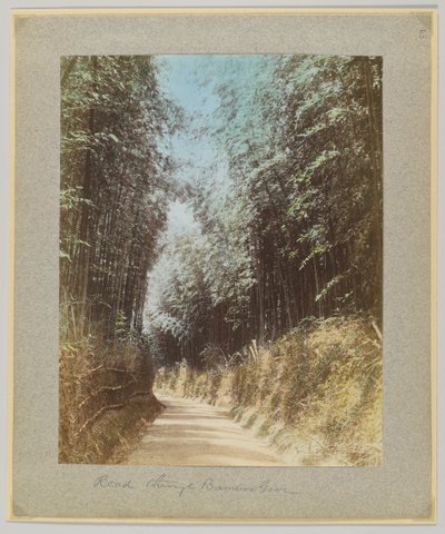 Camino a través de un bosque de bambú, Japón de Japanese Photographer