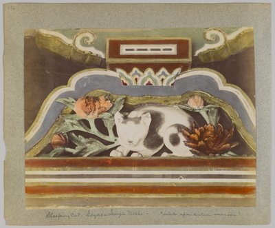 Gato durmiendo, detalle de Tōshō-gū, Nikko, Japón de Japanese Photographer
