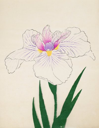 Akashi-no.-Ul, no.10, 1898 de Japanese School