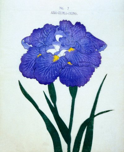 Asa-Zuma-Bune, no.7, 1898 de Japanese School