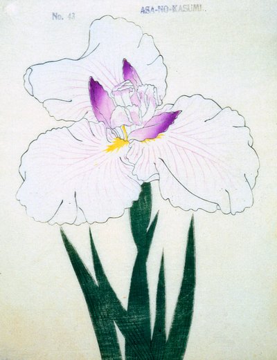 Asa-no.-Kasumi, no.43, 1898 de Japanese School
