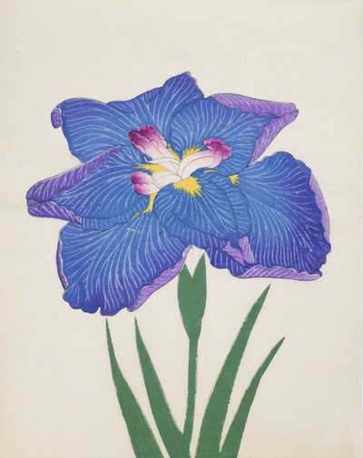 Azumabotan, No. 89, 1890 de Japanese School