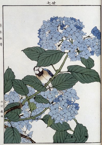 Pájaro en hortensias - Impresión japonesa de Japanese School